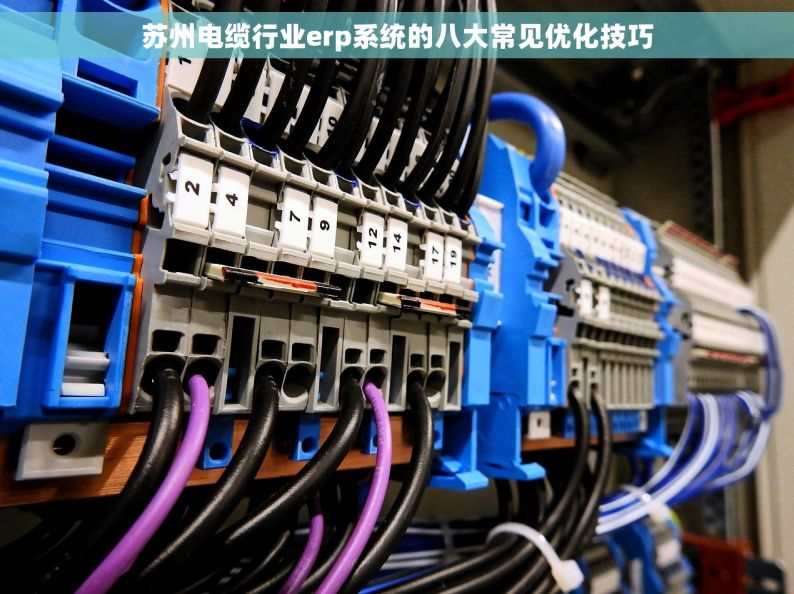 苏州电缆行业erp系统的八大常见优化技巧