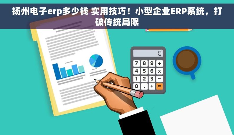 扬州电子erp多少钱 实用技巧！小型企业ERP系统，打破传统局限