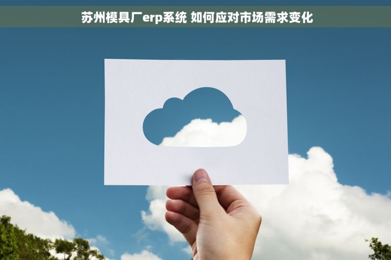  苏州模具厂erp系统 如何应对市场需求变化