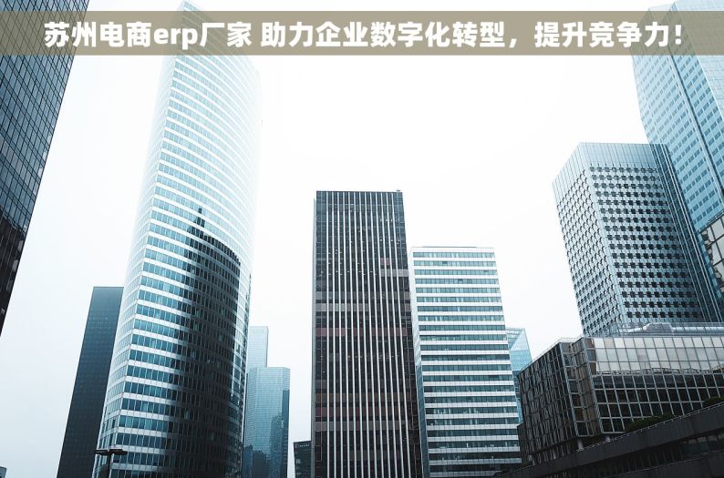 苏州电商erp厂家 助力企业数字化转型，提升竞争力！