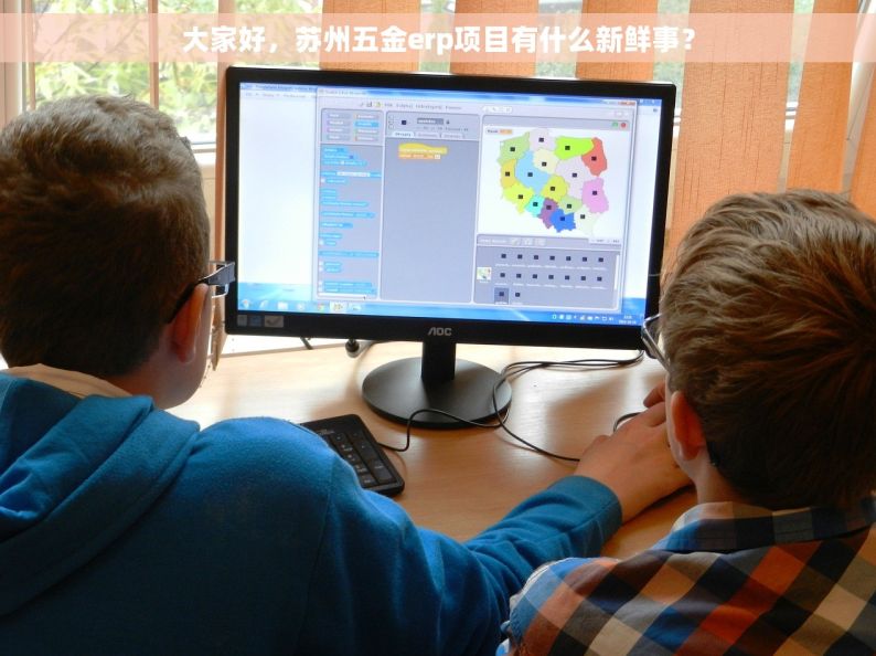 大家好，苏州五金erp项目有什么新鲜事？