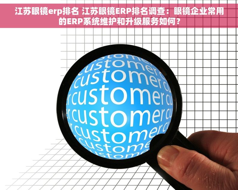 江苏眼镜erp排名 江苏眼镜ERP排名调查：眼镜企业常用的ERP系统维护和升级服务如何？