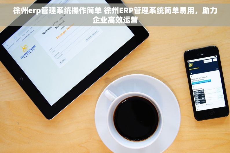 徐州erp管理系统操作简单 徐州ERP管理系统简单易用，助力企业高效运营