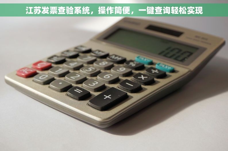 江苏发票查验系统，操作简便，一键查询轻松实现