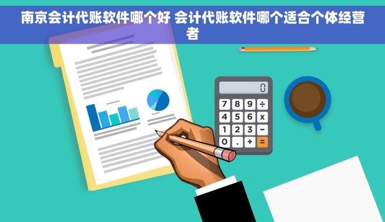 南京会计代账软件哪个好 会计代账软件哪个适合个体经营者