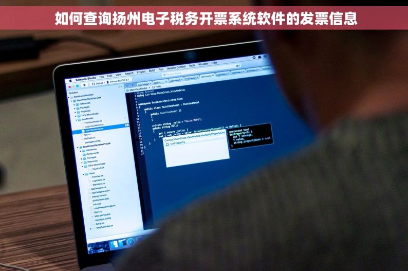 如何查询扬州电子税务开票系统软件的发票信息
