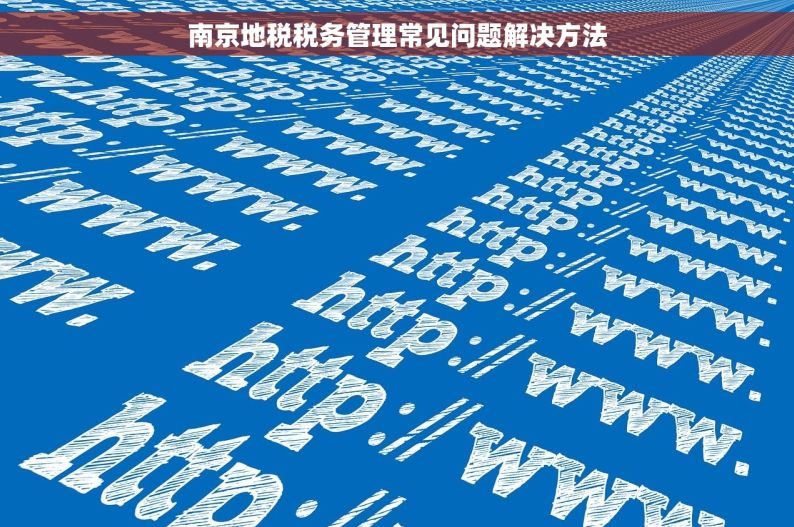 南京地税税务管理常见问题解决方法