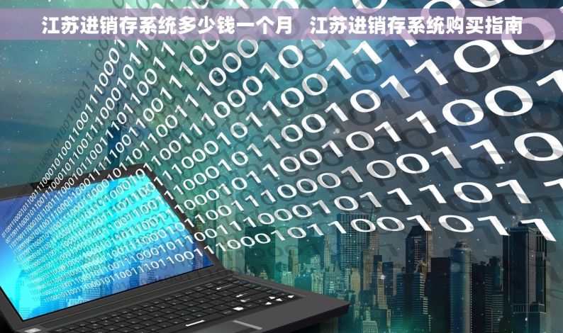 江苏进销存系统多少钱一个月   江苏进销存系统购买指南