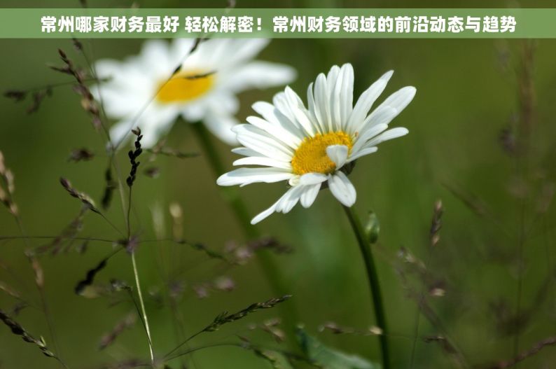 常州哪家财务最好 轻松解密！常州财务领域的前沿动态与趋势