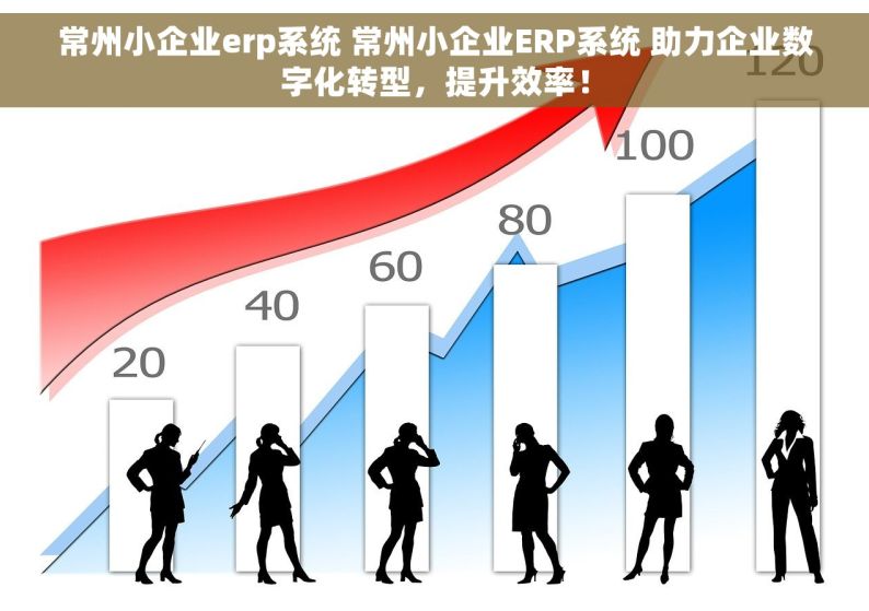 常州小企业erp系统 常州小企业ERP系统 助力企业数字化转型，提升效率！