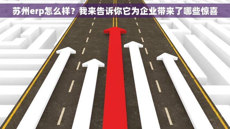苏州erp怎么样？我来告诉你它为企业带来了哪些惊喜