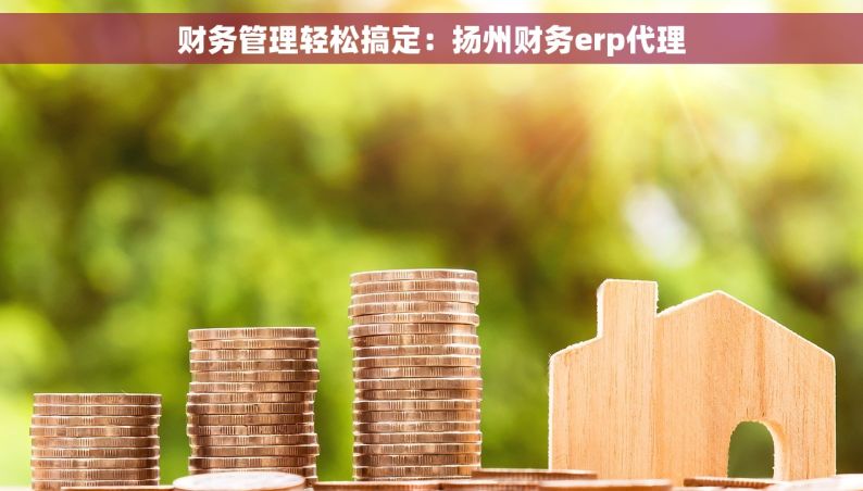 财务管理轻松搞定：扬州财务erp代理