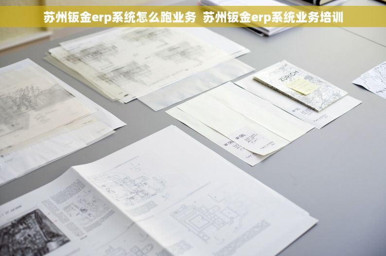苏州钣金erp系统怎么跑业务  苏州钣金erp系统业务培训
