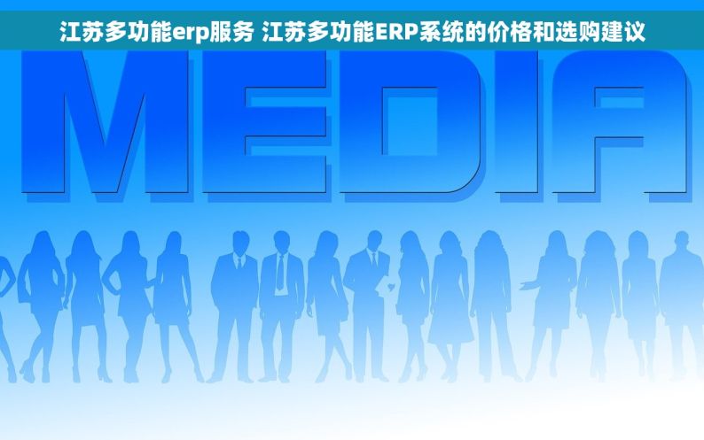 江苏多功能erp服务 江苏多功能ERP系统的价格和选购建议