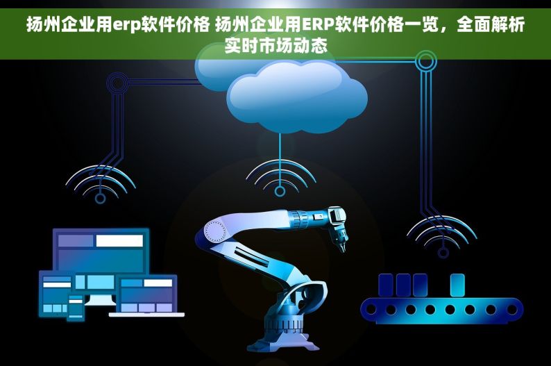 扬州企业用erp软件价格 扬州企业用ERP软件价格一览，全面解析实时市场动态