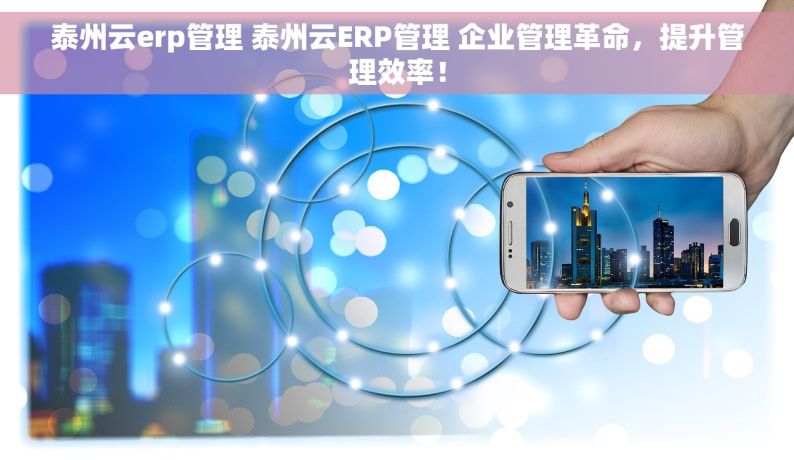 泰州云erp管理 泰州云ERP管理 企业管理革命，提升管理效率！