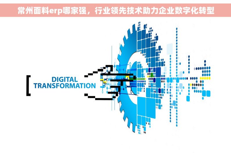 常州面料erp哪家强，行业领先技术助力企业数字化转型