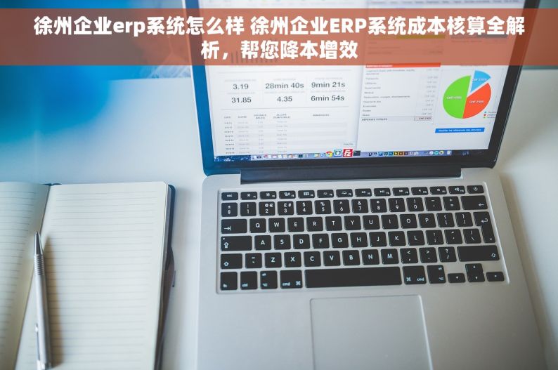 徐州企业erp系统怎么样 徐州企业ERP系统成本核算全解析，帮您降本增效