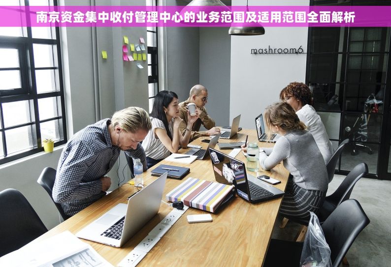 南京资金集中收付管理中心的业务范围及适用范围全面解析