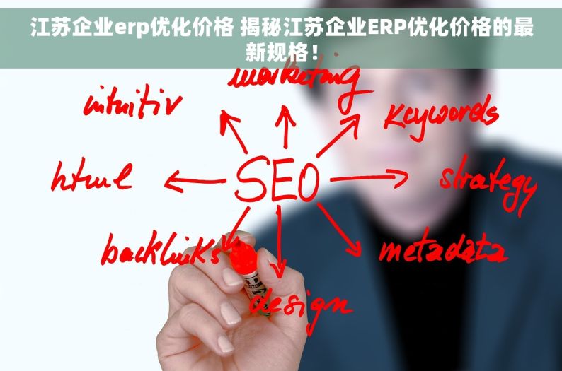 江苏企业erp优化价格 揭秘江苏企业ERP优化价格的最新规格！