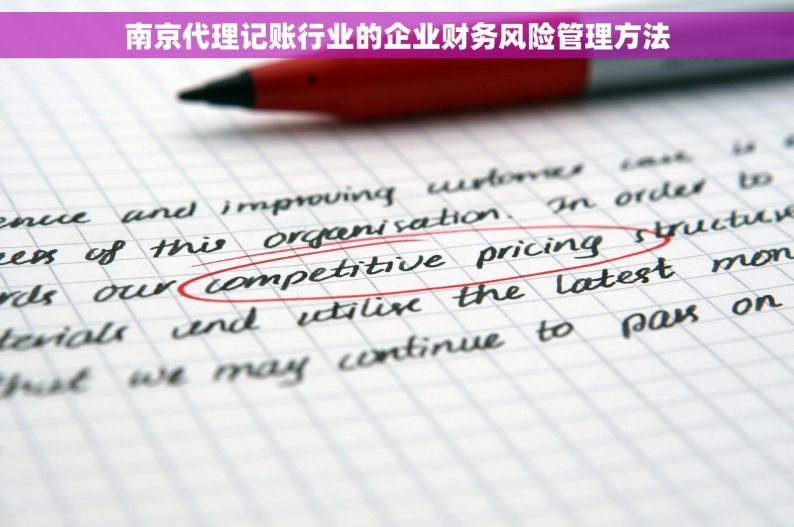 南京代理记账行业的企业财务风险管理方法