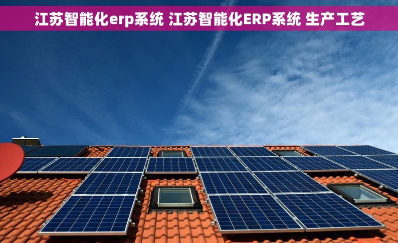 江苏智能化erp系统 江苏智能化ERP系统 生产工艺