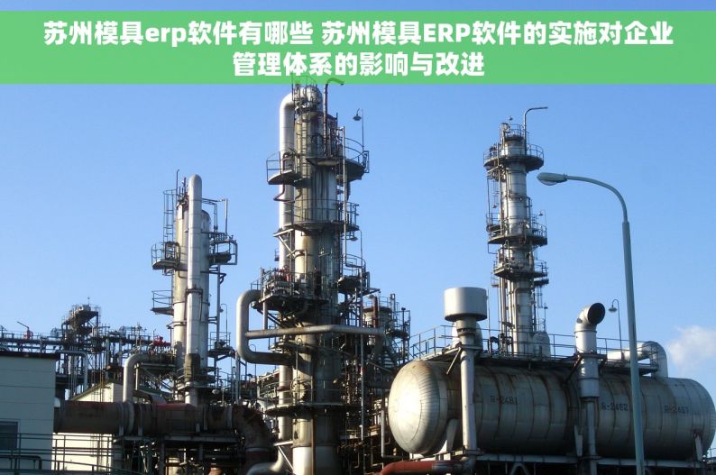 苏州模具erp软件有哪些 苏州模具ERP软件的实施对企业管理体系的影响与改进
