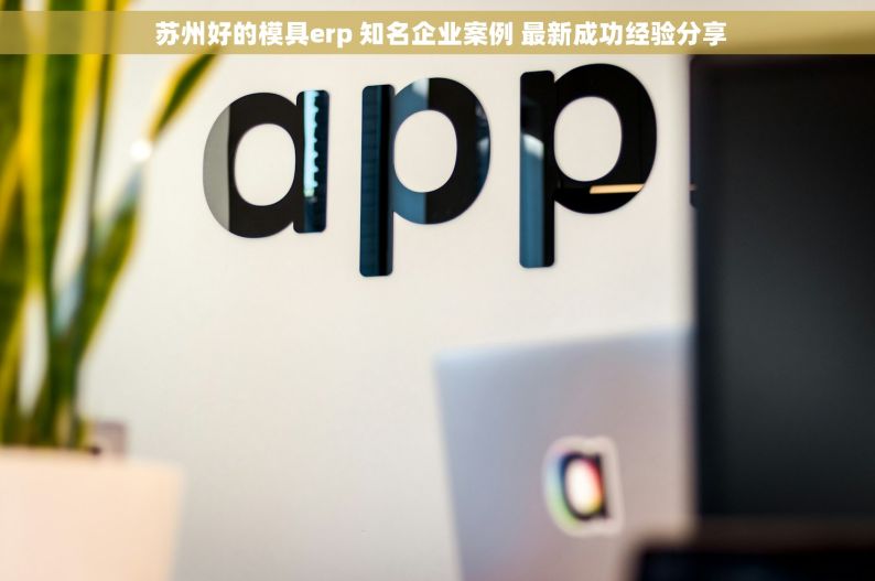  苏州好的模具erp 知名企业案例 最新成功经验分享
