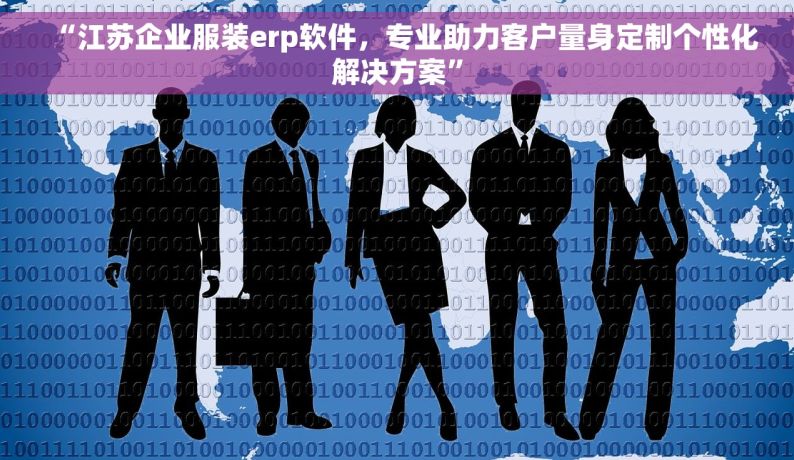 “江苏企业服装erp软件，专业助力客户量身定制个性化解决方案”