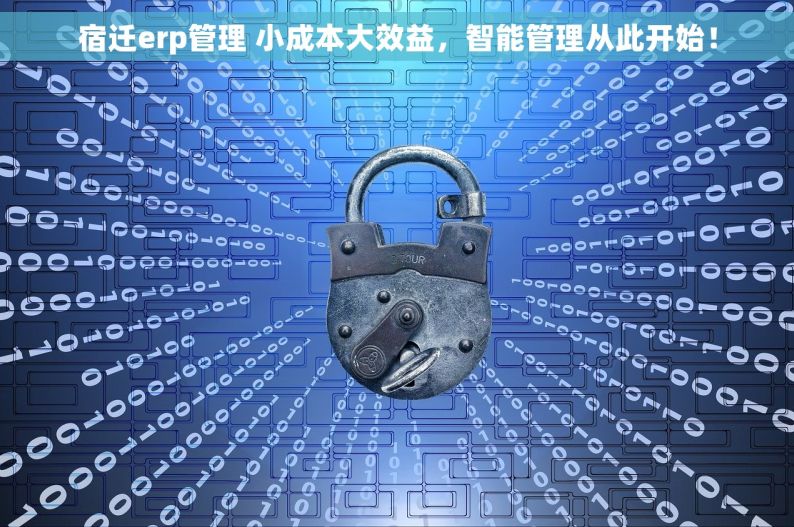 宿迁erp管理 小成本大效益，智能管理从此开始！