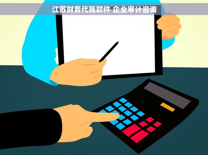 江苏财务代账软件 企业审计咨询