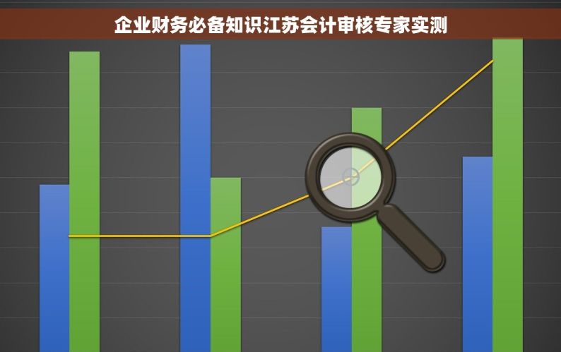 企业财务必备知识江苏会计审核专家实测