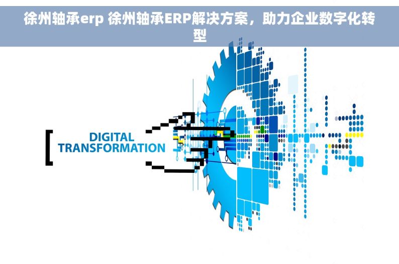 徐州轴承erp 徐州轴承ERP解决方案，助力企业数字化转型