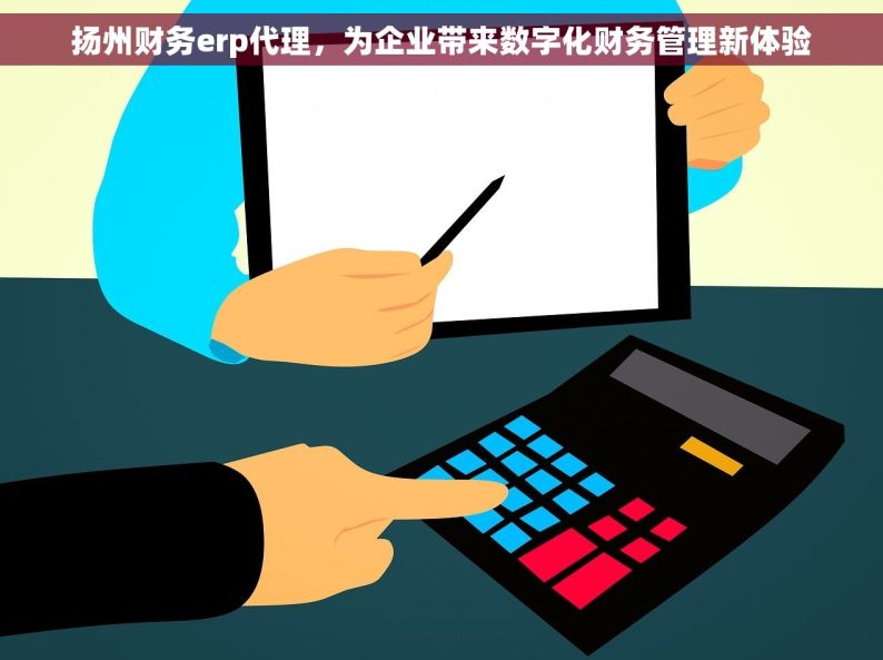 扬州财务erp代理，为企业带来数字化财务管理新体验
