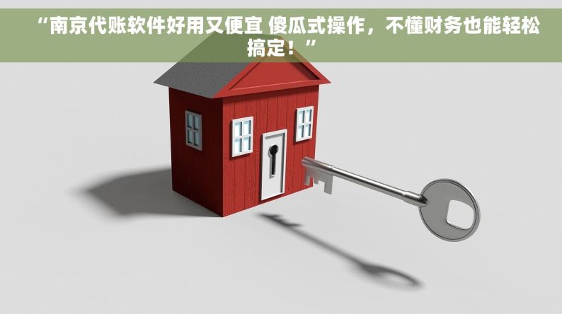 “南京代账软件好用又便宜 傻瓜式操作，不懂财务也能轻松搞定！”