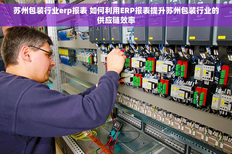 苏州包装行业erp报表 如何利用ERP报表提升苏州包装行业的供应链效率