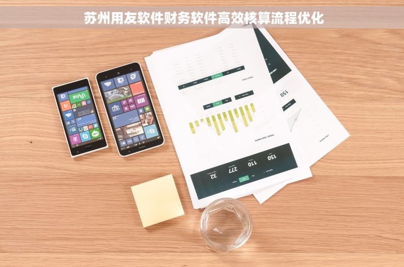  苏州用友软件财务软件高效核算流程优化