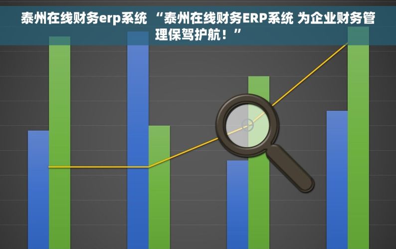 泰州在线财务erp系统 “泰州在线财务ERP系统 为企业财务管理保驾护航！”