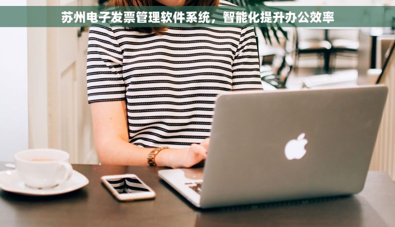 苏州电子发票管理软件系统，智能化提升办公效率
