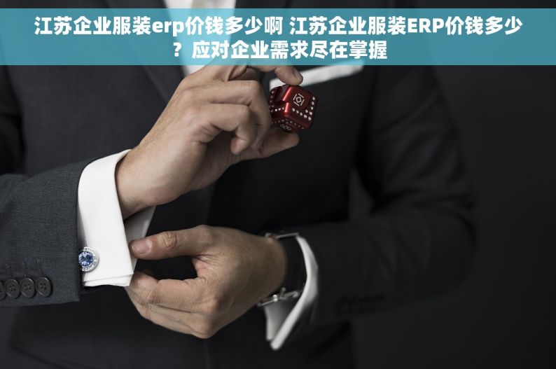 江苏企业服装erp价钱多少啊 江苏企业服装ERP价钱多少？应对企业需求尽在掌握