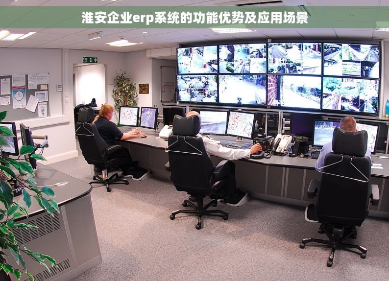 淮安企业erp系统的功能优势及应用场景