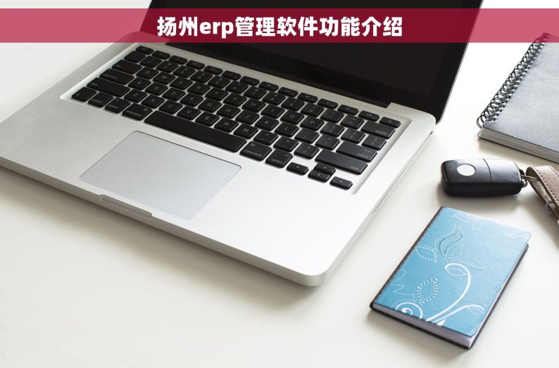 扬州erp管理软件功能介绍