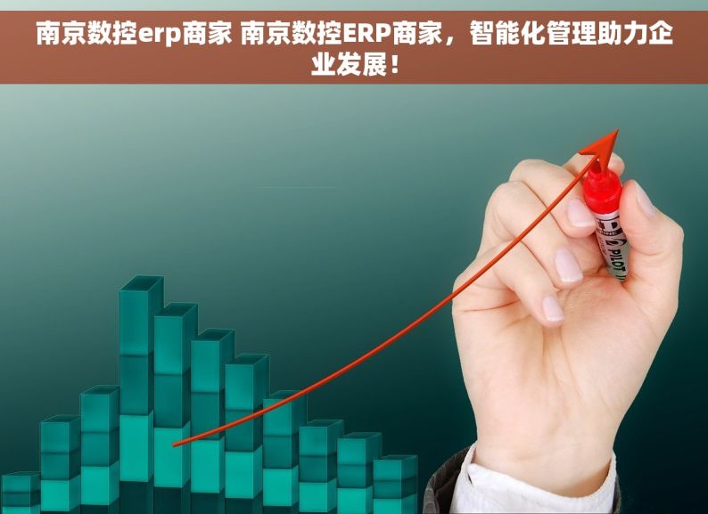 南京数控erp商家 南京数控ERP商家，智能化管理助力企业发展！