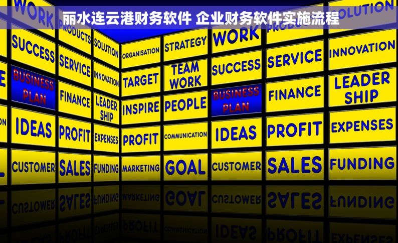  丽水连云港财务软件 企业财务软件实施流程