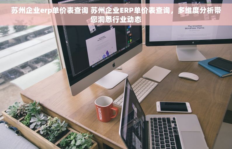 苏州企业erp单价表查询 苏州企业ERP单价表查询，多维度分析带您洞悉行业动态
