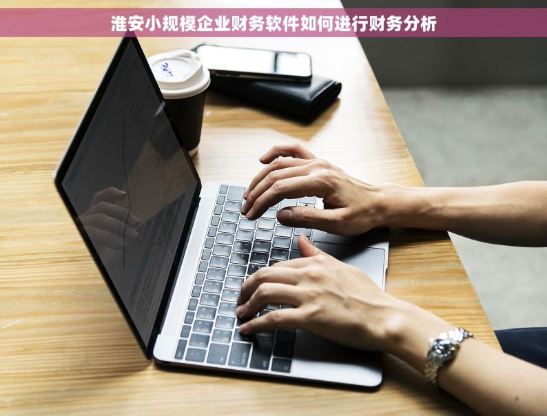 淮安小规模企业财务软件如何进行财务分析