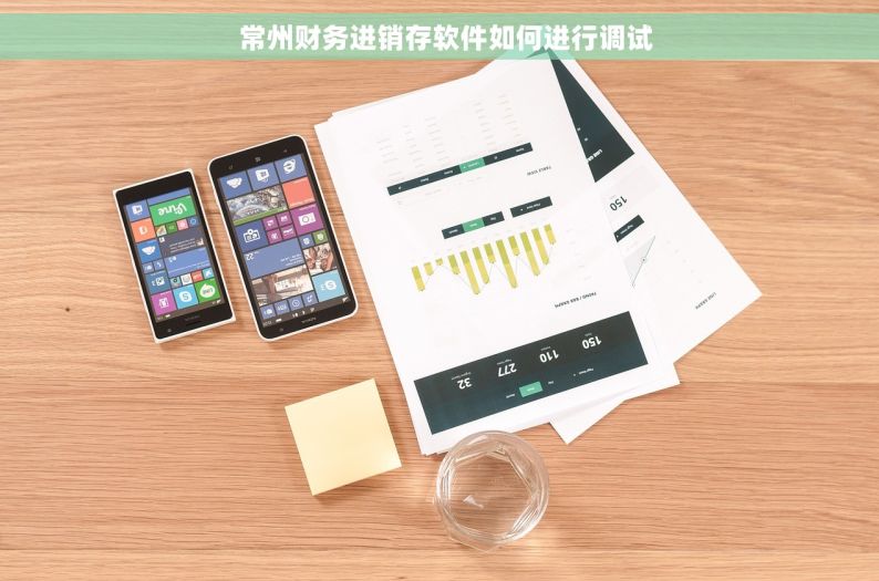   常州财务进销存软件如何进行调试