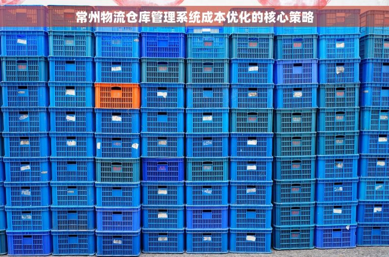 常州物流仓库管理系统成本优化的核心策略