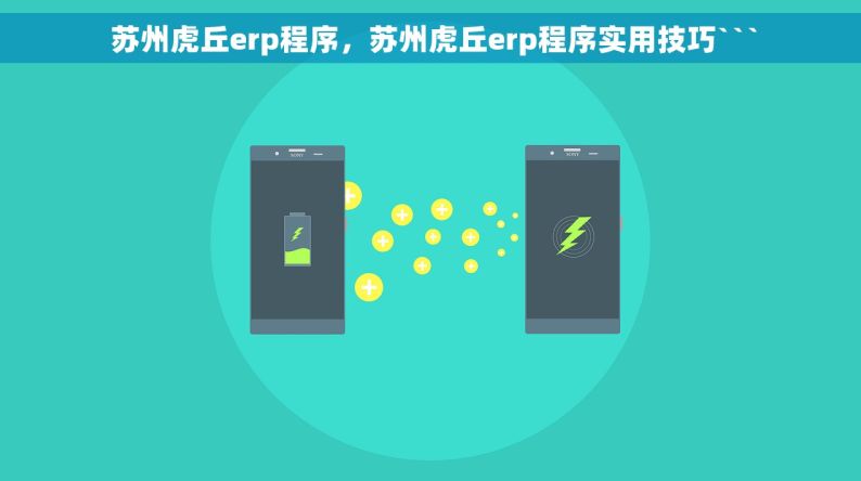  苏州虎丘erp程序，苏州虎丘erp程序实用技巧```