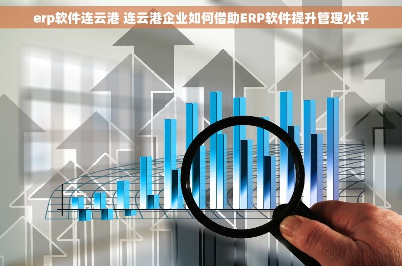 erp软件连云港 连云港企业如何借助ERP软件提升管理水平
